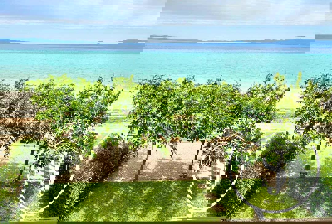 1973256 – Maisonette For sale